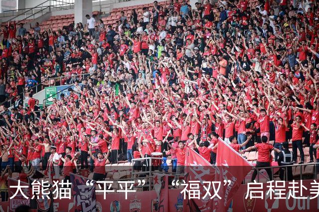 大熊猫“平平”“福双”启程赴美，深化中美保护合作新篇章